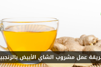 طريقة عمل مشروب الشاي الأبيض بالزنجبيل في المنزل