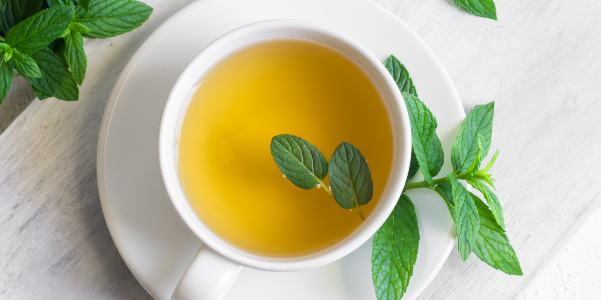 طريقة عمل مشروب الشاي الأخضر بالنعناع