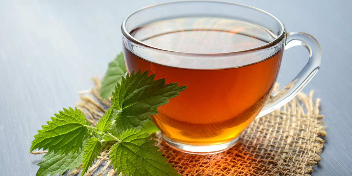 طريقة عمل مشروب الشاي الأخضر بالنعناع